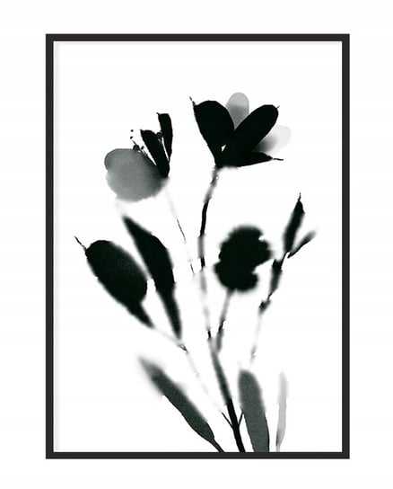 Obraz w ramie czarnej E-DRUK, Kwiaty, 33x43 cm, P1116 e-druk