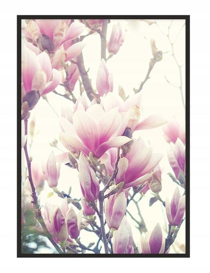 Obraz w ramie czarnej E-DRUK, Kwiaty, 33x43 cm, P1235 e-druk
