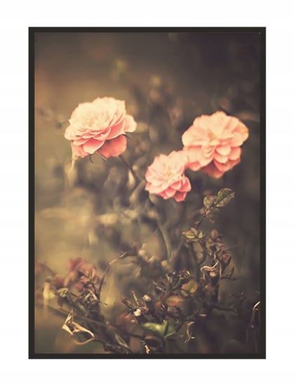 Obraz w ramie czarnej E-DRUK, Kwiaty, 53x73 cm, P1528 e-druk