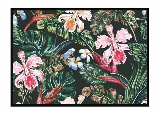 Obraz w ramie czarnej E-DRUK, Kwiaty, 53x73 cm, P1646 e-druk