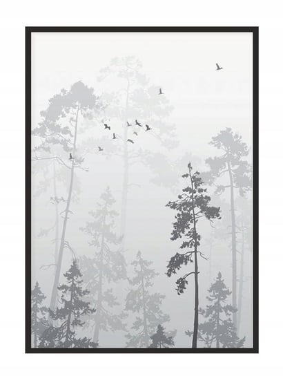 Obraz w ramie czarnej E-DRUK, Las, 33x43 cm, P1731 e-druk