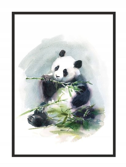 Obraz w ramie czarnej E-DRUK, Panda, 33x43 cm, PD274 e-druk