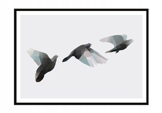 Obraz w ramie czarnej E-DRUK, Ptaki, 33x43 cm, P1327 e-druk