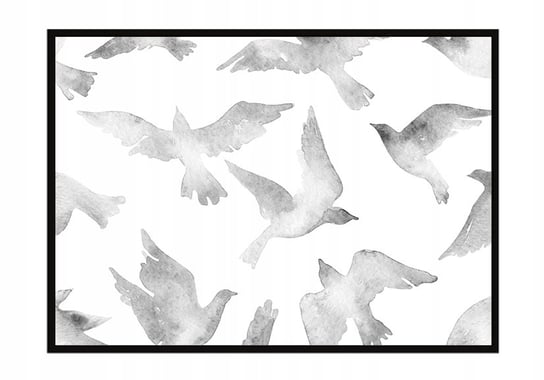 Obraz w ramie czarnej E-DRUK, Ptaki, 43x33 cm, P929 e-druk