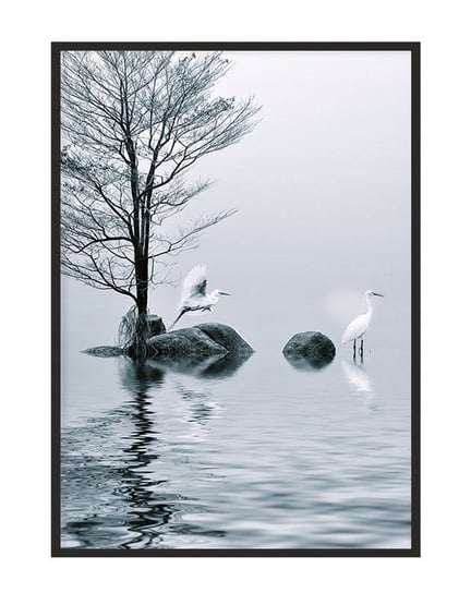 Obraz w ramie czarnej E-DRUK, Ptaki, 53x73 cm, P1182 e-druk