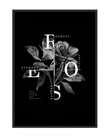 Obraz w ramie czarnej E-DRUK, Rose, 33x43 cm, P1080 e-druk