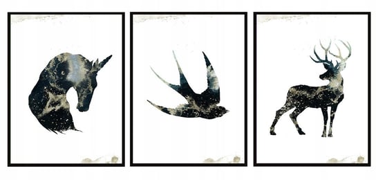 Obraz w ramie czarnej E-DRUK, Tryptyk, 33x43 cm, P1392 e-druk