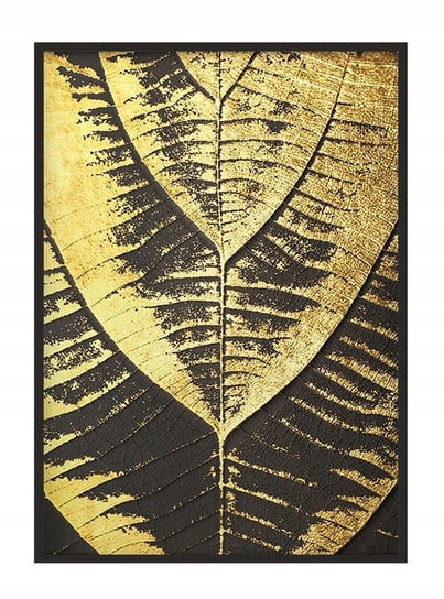 Obraz w ramie czarnej E-DRUK, Złoty, 33x43 cm, P1819 e-druk