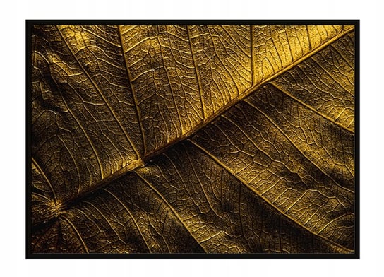 Obraz w ramie czarnej E-DRUK, Złoty Liść, 53x73 cm, P1761 e-druk