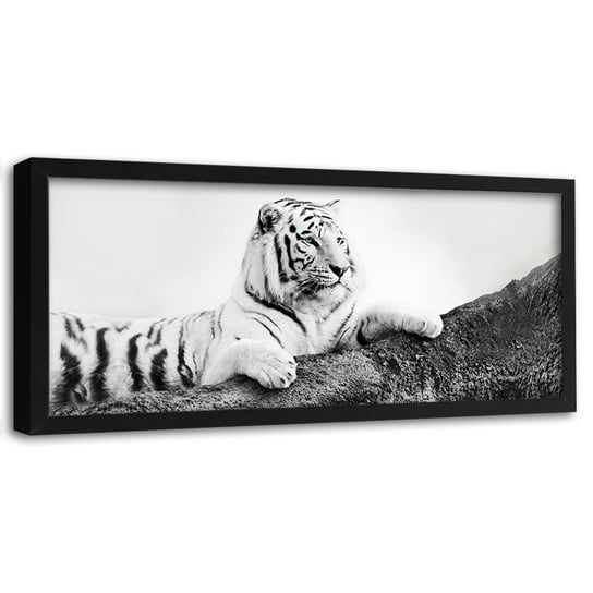 Obraz w ramie czarnej FEEBY, Afryka Tygrys Zwierzęta 140x45 Feeby