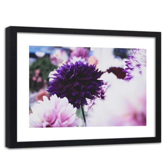 Obraz w ramie czarnej FEEBY, Dalia Kwiat Fioletowy 90x60 Feeby