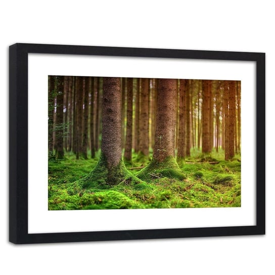 Obraz w ramie czarnej FEEBY, Drzewa w mchu Krajobraz obraz 120x80 Feeby
