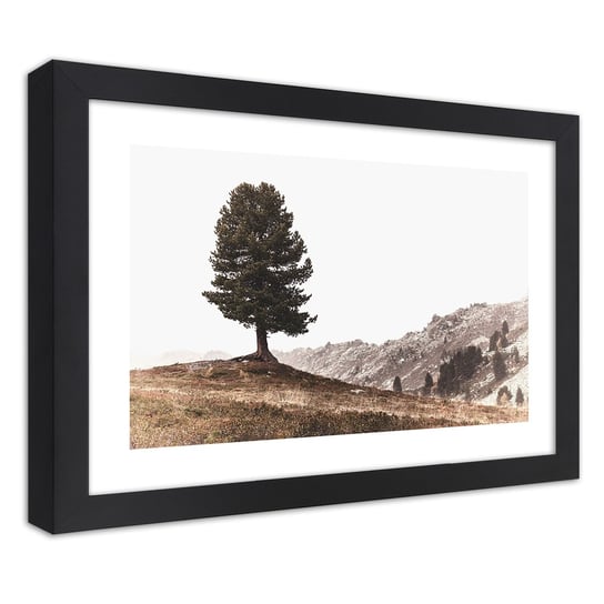 Obraz w ramie czarnej FEEBY, Drzewo Góry Natura 100x70 Feeby
