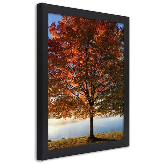 Obraz w ramie czarnej FEEBY, Drzewo Jesień Liście 20x30 Feeby