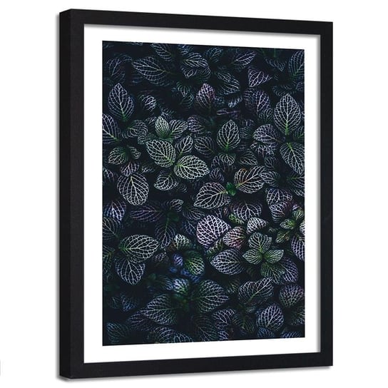 Obraz w ramie czarnej FEEBY, Fioletowe Liście natura 40x50 Feeby