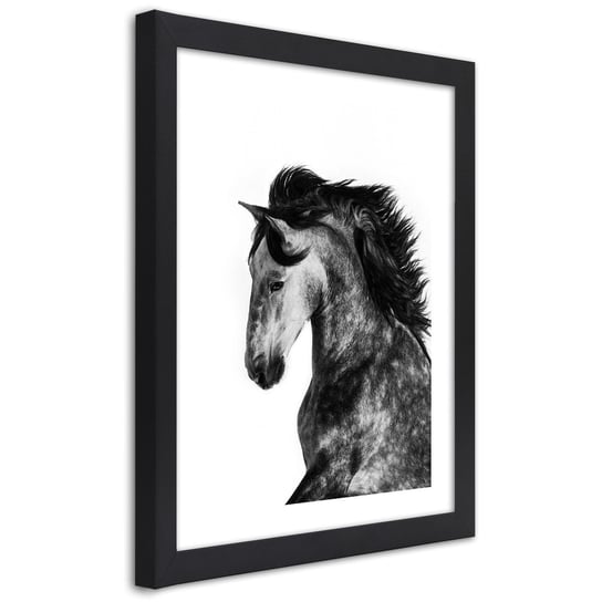 Obraz w ramie czarnej FEEBY, Koń Zwierzęta Galop 30x45 Feeby