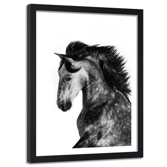 Obraz w ramie czarnej FEEBY, Koń Zwierzęta Galop 40x60 Feeby