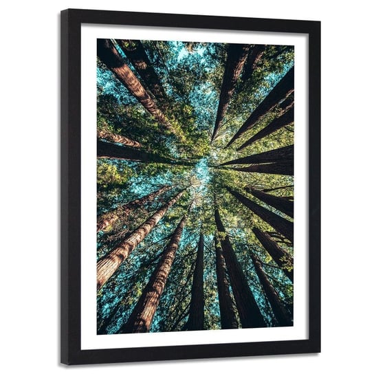 Obraz w ramie czarnej FEEBY, Konary wysokich drzew, 80x120 cm Feeby