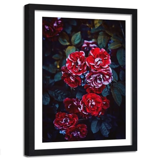 Obraz w ramie czarnej FEEBY, Kwiaty Czerwone Natura 60x90 Feeby