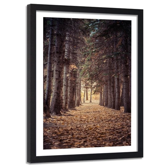 Obraz w ramie czarnej FEEBY, Las jesienią, 40x60 cm Feeby