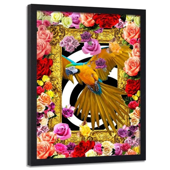Obraz w ramie czarnej FEEBY, Papuga,kolorowe kwiaty róże 60x90 Feeby