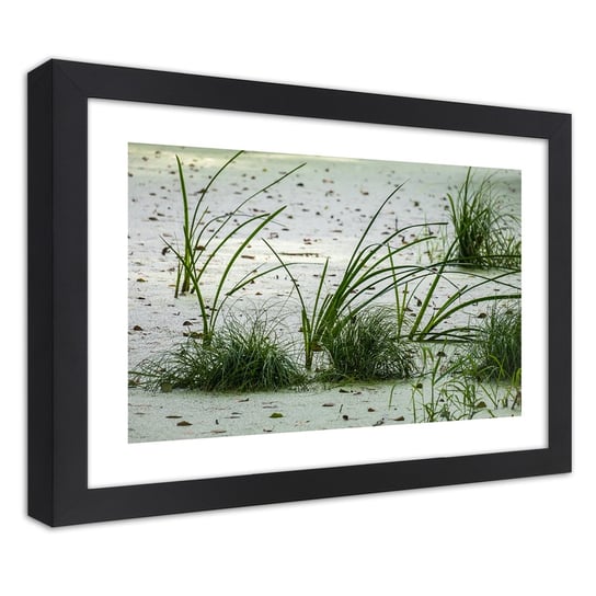 Obraz w ramie czarnej FEEBY, Plaża piasek trawa zielona 100x70 Feeby