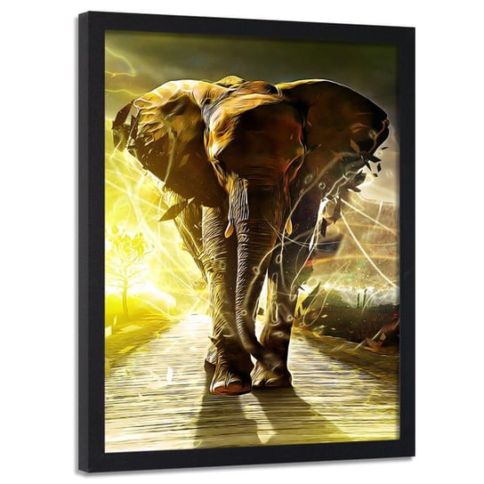 Obraz w ramie czarnej FEEBY, Słoń na Drodze Afryka 50x70 Feeby