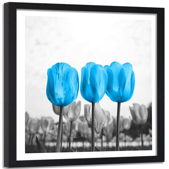 Obraz w ramie czarnej FEEBY, Trzy Tulipany Natura 80x80 Feeby