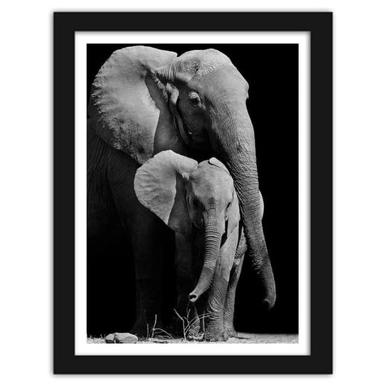 Obraz w ramie czarnej FEEBY, Wędrówka rodziny słoni, 50x70 cm Feeby