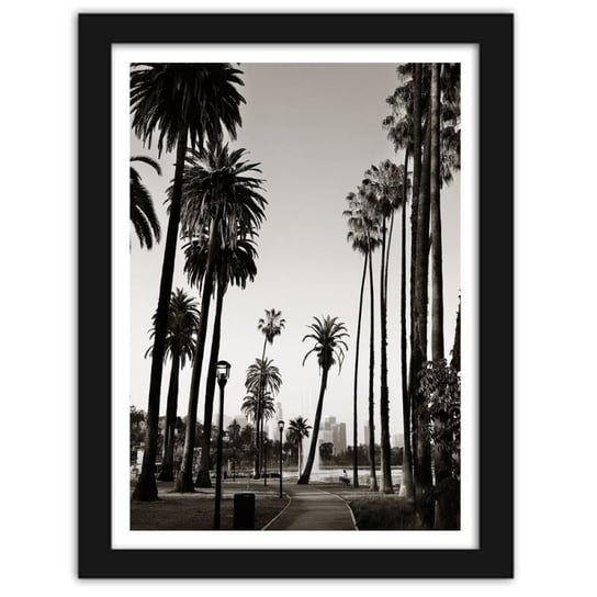 Obraz w ramie czarnej FEEBY, Widok na park z palmami, 21x29,7 cm Feeby