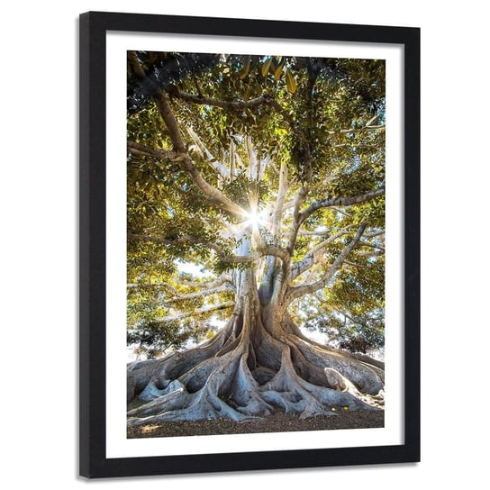 Obraz w ramie czarnej FEEBY, Wielkie egzotyczne drzewo, 40x60 cm Feeby