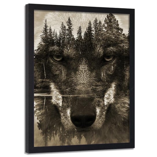 Obraz w ramie czarnej FEEBY, Wilk Czarny Zwierzęta 40x60 Feeby