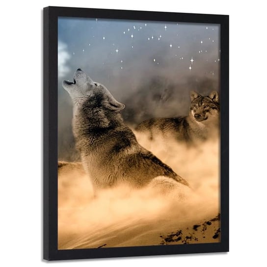 Obraz w ramie czarnej FEEBY, Wilki Mgła Zwierzęta Natura Przyroda 20x30 Feeby