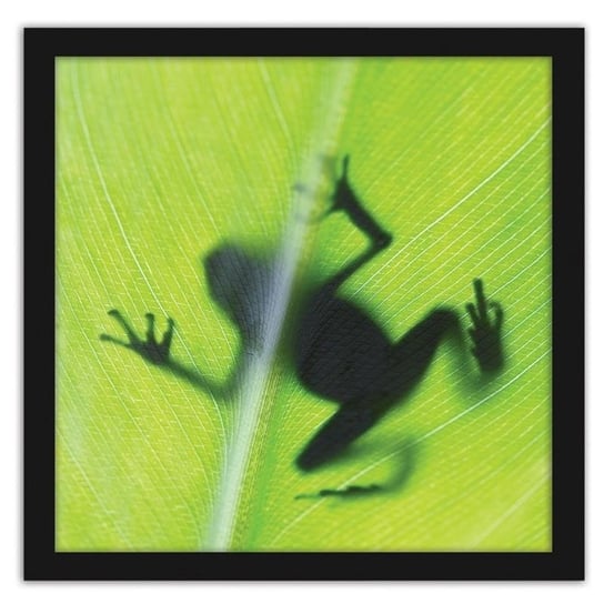 Obraz w ramie czarnej FEEBY, Żaba na zielonym liściu, 70x70 cm Feeby