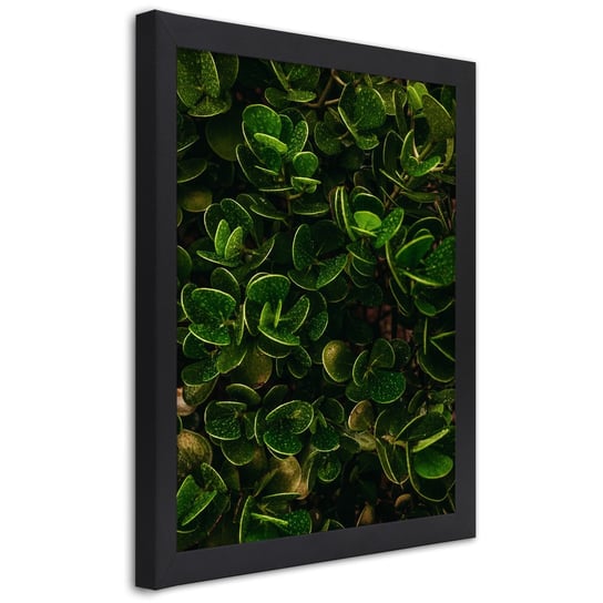 Obraz w ramie czarnej FEEBY, Zielone Liście egzotyczne 30x45 Feeby