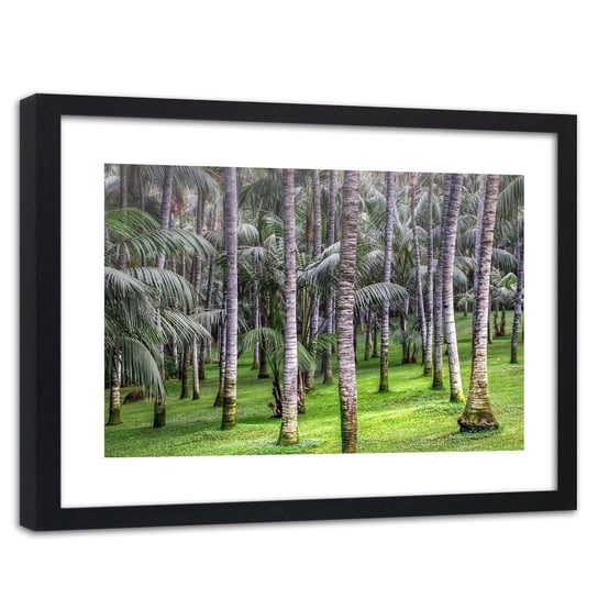 Obraz w ramie czarnej: Las palmowy, 80x120 cm Feeby