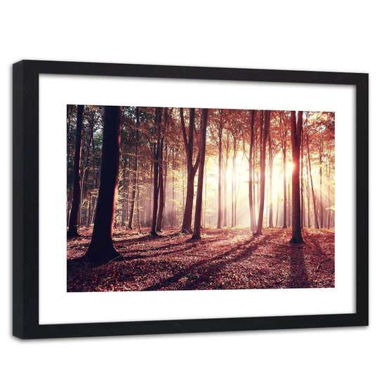 Obraz w ramie czarnej: Promienie słońca wśród drzew, 60x90 cm Feeby