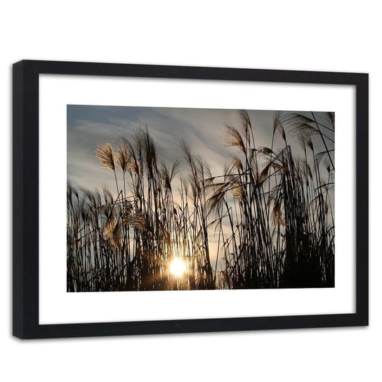 Obraz w ramie czarnej: Słońce wśród traw, 60x90 cm Feeby