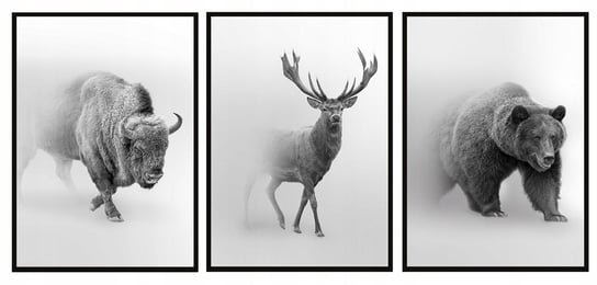 Obraz w ramie E-DRUK, Tryptyk zwierzęta, 43x33 cm e-druk