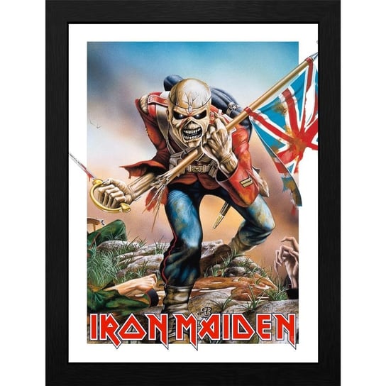 obraz w ramie IRON MAIDEN - TROOPER EDDIE Abysse