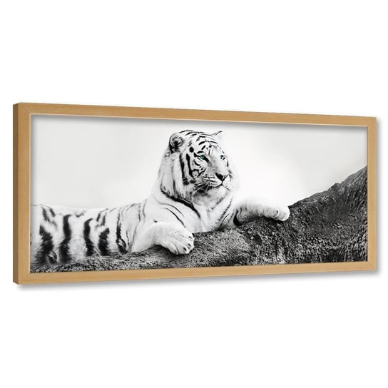 Obraz w ramie naturalnej FEEBY, Afryka Tygrys Zwierzęta 140x45 Feeby