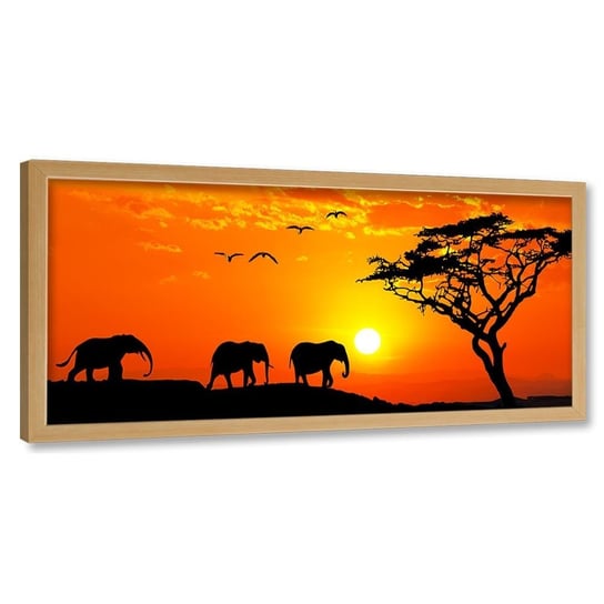 Obraz w ramie naturalnej FEEBY, Afryka zachód słońca słonie 140x45 Feeby