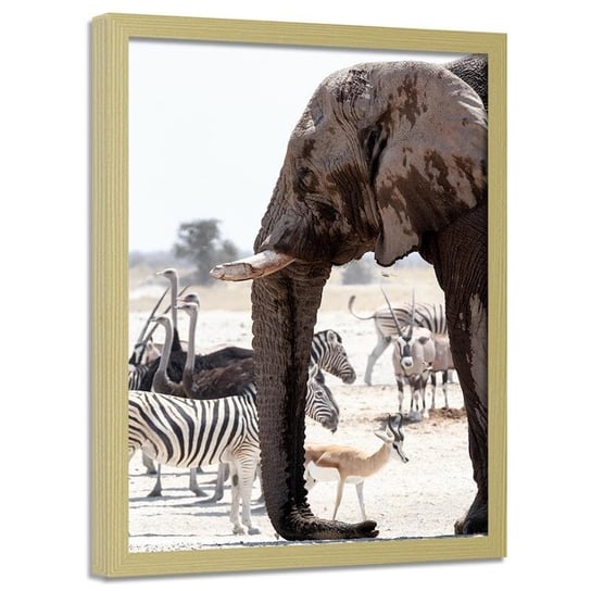 Obraz w ramie naturalnej FEEBY, Afryka zwierzęta natura 60x90 Feeby