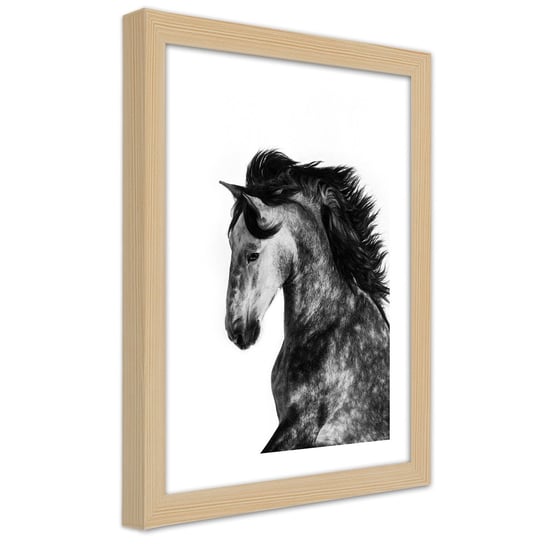 Obraz w ramie naturalnej FEEBY, Koń Zwierzęta Galop 40x60 Feeby