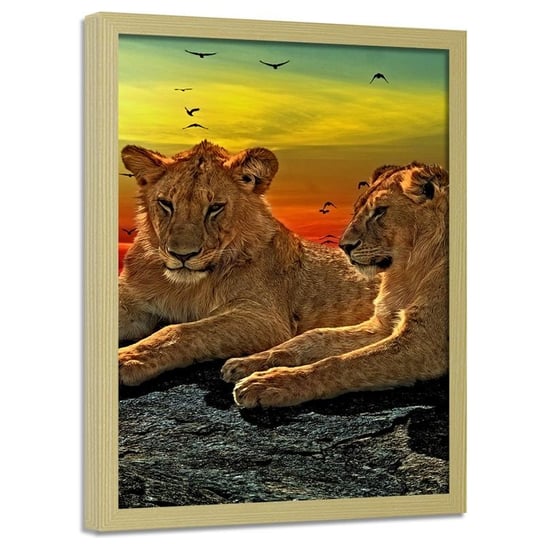 Obraz w ramie naturalnej FEEBY, Lwy Afryka Zwierzęta 60x90 Feeby