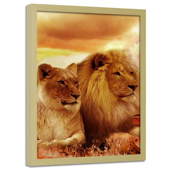 Obraz w ramie naturalnej FEEBY, Lwy Zwierzęta Afryka 40x60 Feeby