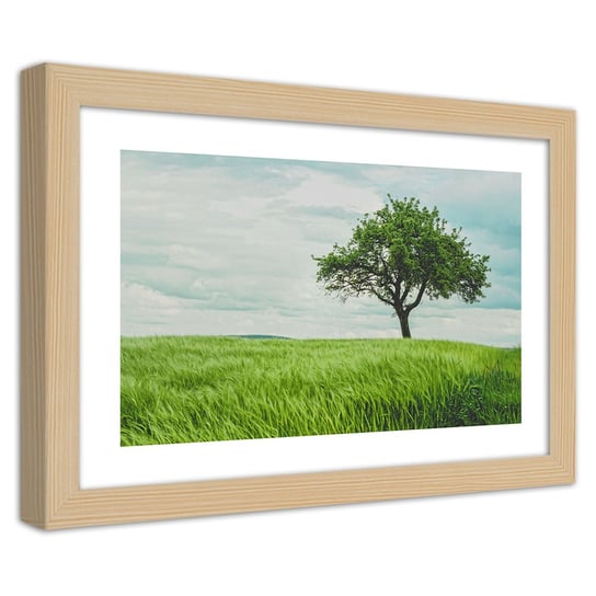 Obraz w ramie naturalnej FEEBY, Pejzaż Zielone Drzewo 60x40 Feeby