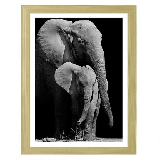 Obraz w ramie naturalnej FEEBY, Wędrówka rodziny słoni, 21x29,7 cm Feeby