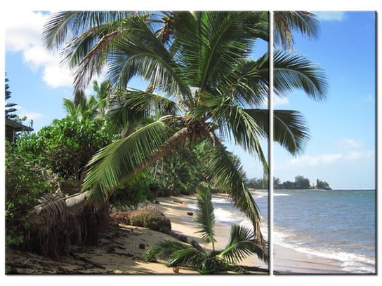 Obraz Wakacje na tropikach - Puuikibeach, 2 elementy, 70x50 cm Oobrazy