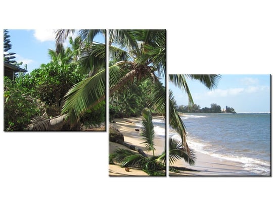 Obraz Wakacje na tropikach - Puuikibeach, 3 elementy, 90x50 cm Oobrazy